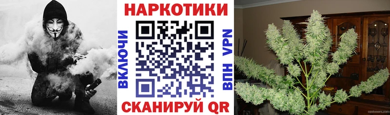 Где найти наркотики Ясный Амфетамин  МЕФ  Гашиш  Кокаин  Галлюциногенные грибы  Alpha-PVP 